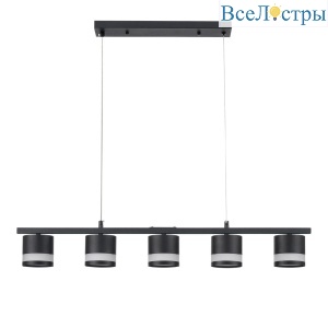 Подвесной светильник Lumion Lanika 8240/5