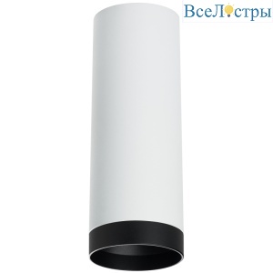 Накладной светильник Lightstar Rullo R4863437 (214486+203437)