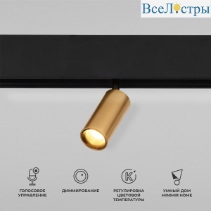Трековый светодиодный светильник Elektrostandard Slim Magnetic Dim Cantors 85071/01 латунь a063531
