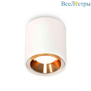 Комплект накладного светильника Ambrella light Techno Spot XS7722004 SWH/PYG белый песок/золото желтое полированное (C7722, N7034)