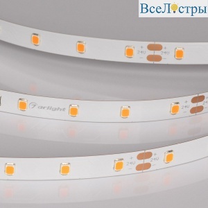 Светодиодная лента Arlight RT-A60-8mm 24V Carrot (4.8 W/m, IP20, 5m) 055375