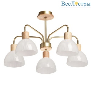 Люстра на штанге De Markt Дэла 635016405