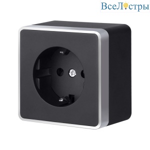 Розетка с заземлением Werkel Gallant (черный с серебром) W5071034 4690389164507 a051146