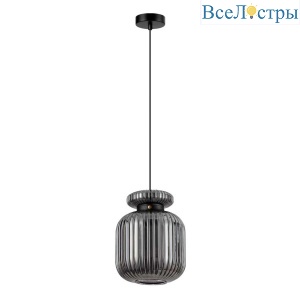 Подвесной светильник Odeon Light Jugi 5042/1B