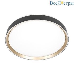 Потолочный светильник Citilux Boss CL751451G