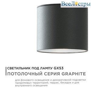 Уличный потолочный светильник Apeyron Graphite 11-115