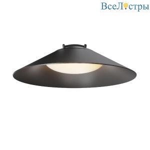 Трековый светильник Maytoni Campana TR127B-12W3K-B