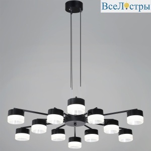 Потолочная люстра Reluce 19490-0.4-6+6 Black