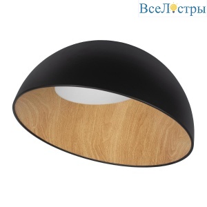Потолочный светодиодный светильник Loft IT Egg 10197/500 Black