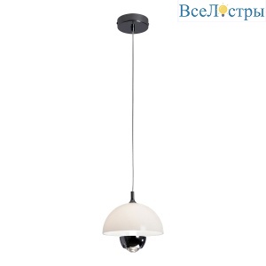 Подвесной светильник Lussole Poughkeepsie LSP-7524