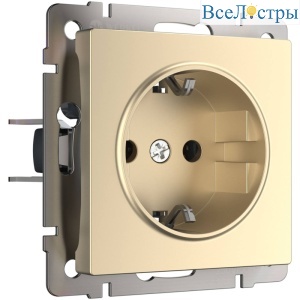 Розетка с заземлением Werkel шампань W1171011 4690389157363 a050867