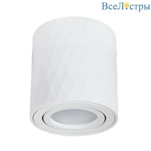 Потолочный светильник Arte Lamp Fang A5559PL-1WH
