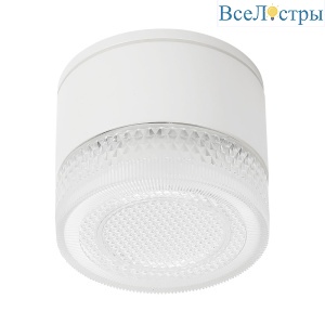 Уличный потолочный светильник Arte Lamp Piautos A1926PF-1WH