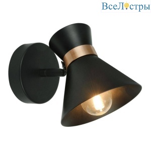 Спот Arte Lamp Baltimore A1406AP-1BK