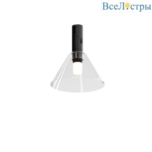 Трековый магнитный светильник Maytoni Biancа TR206-1-3W3K-B