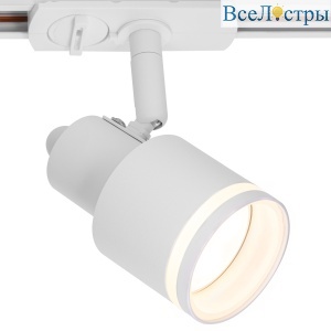Трековый однофазный светильник Citilux Bruno CL565T10
