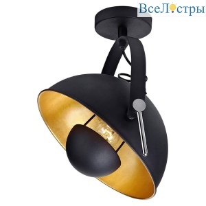 Спот Lussole Loft SHERRELWOOD GRLSP-9825
