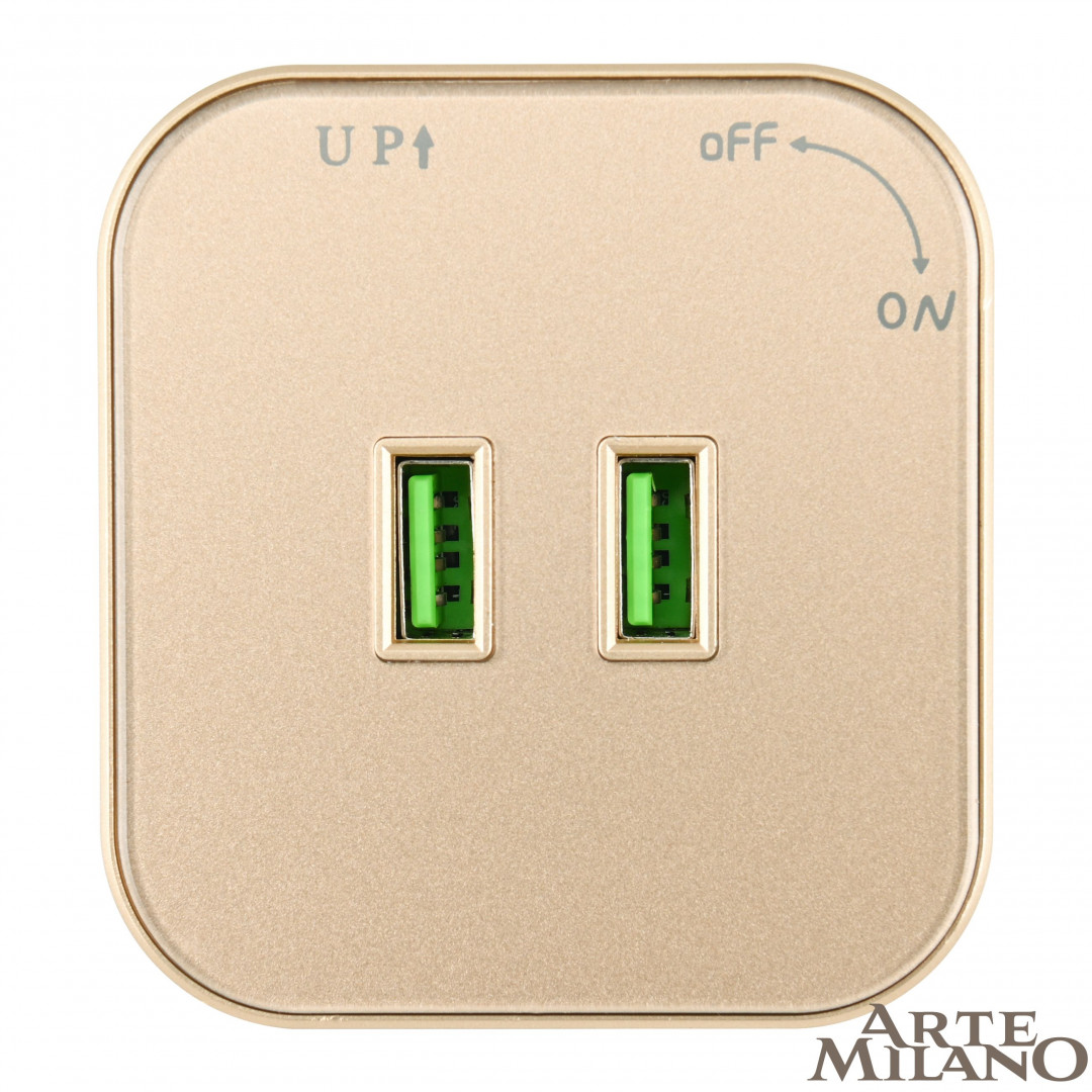 трековая розетка arte milano am-track-sockets 380022ts/usbx2 gold