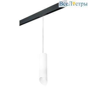 Трековый светильник Lightstar Rullo (216496+595887+201486) PRORP649686