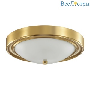 Настенно-потолочный светильник Lumion Vintage Nina 5259/2C