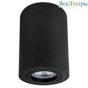 Накладной светильник Arte Lamp Sentry A1566PL-1BK