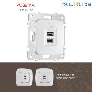 Розетка USB 2.1А+1А Arte Milano 205.46-1.silver