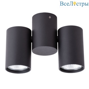 Накладной светильник ARTE Lamp A1511PL-2BK