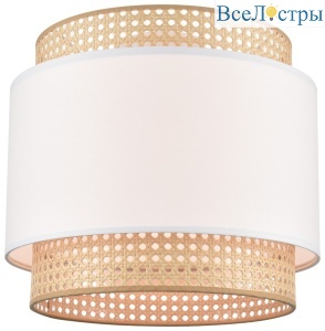 Потолочный светильник Velante 565-717-01