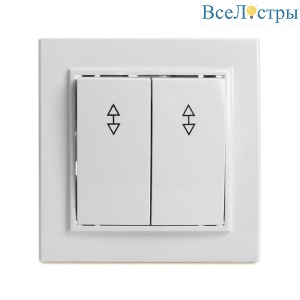 Переключатель двухклавишный Stekker Эрна белый PSW10-9005-01 39919