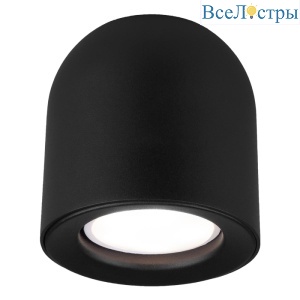 Потолочный светильник Elektrostandard Ogma DLN116 GU10 черный 4690389153358
