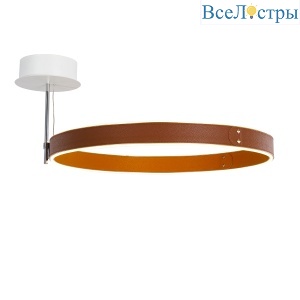 Потолочный светильник DeLight Collection MX18001059-1M coffee/black
