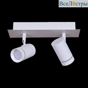 Спот Reluce 84281-9.5-002RT LED2*5W WT