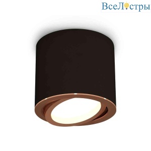 Комплект накладного светильника Ambrella light Techno Spot XS7402004 SBK/PPG черный песок/золото розовое полированное (C7402, N7005)