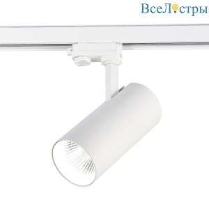 Трековый светодиодный светильник ST Luce ST661.546.40