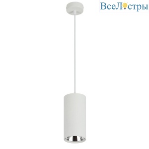 Подвесной светильник ЭРА PL12 GX53 WH/SL Б0048543