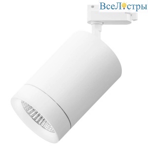 Светильник на штанге Lightstar Canno 303264