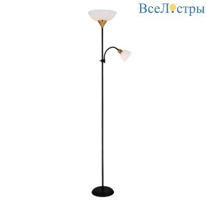 Торшер Arte Lamp Duetto A9569PN-2BK