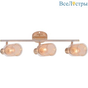 Спот Reluce 06125-3.8-03 WH+FGD