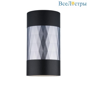 Потолочный светильник Elektrostandard Mizar DLN110 GU10 черный/серебро 4690389148712
