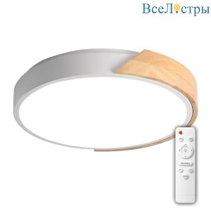 Потолочный светодиодный светильник Jazzway PPB Sсandic-R 5036994
