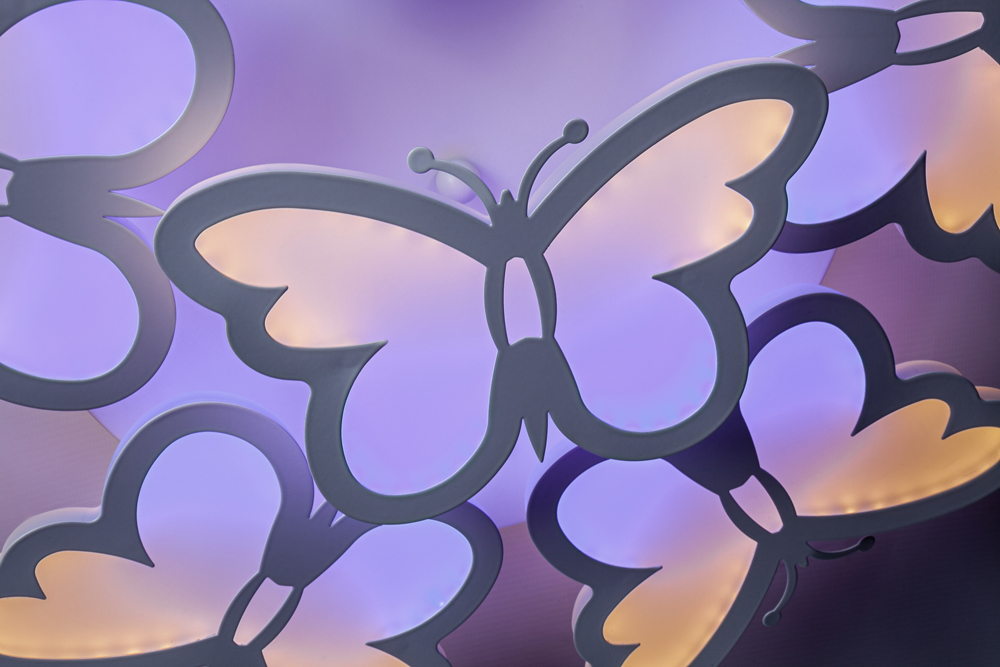 Butterfly Escada