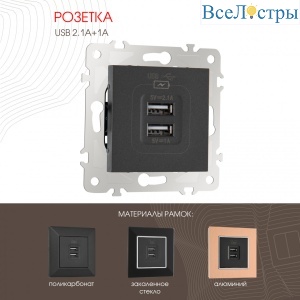 Розетка USB 2.1А+1А Arte Milano 203.46-1.black