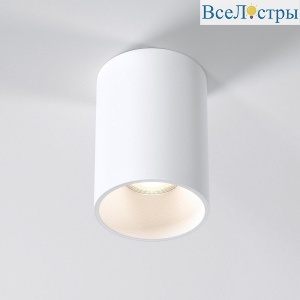 Потолочный светильник Elektrostandard Porter 25011/01 GU10 белый a064288