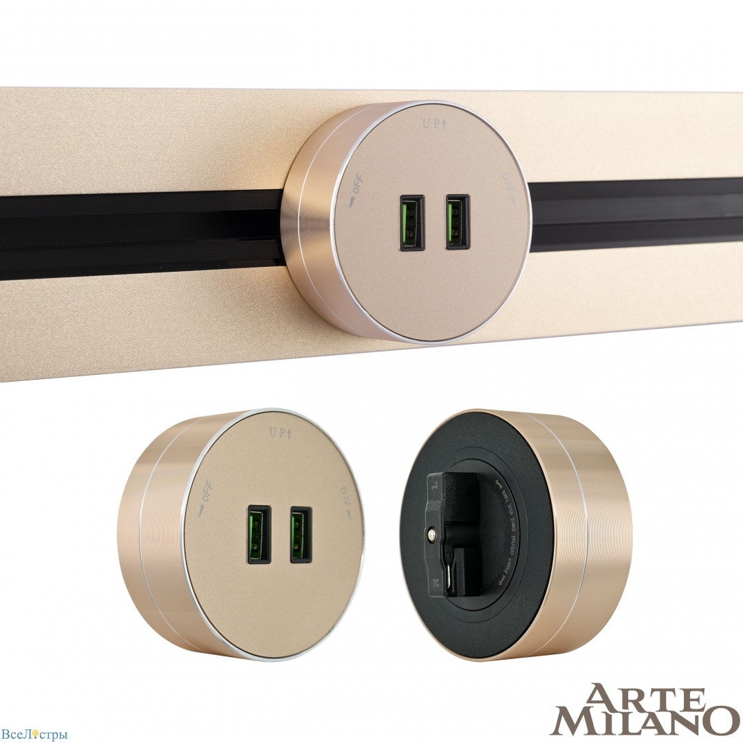трековая розетка arte milano am-track-sockets 380011ts/usbx2 gold