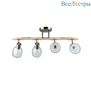 Спот Arte Lamp Harmony A5110PL-4AB