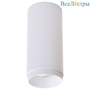 Точечный накладной светильник Wertmark Stecken WE802.01.007+WE803.RG.000