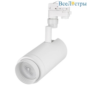 Трековый светильник Arlight LGD-ZEUS-4TR-R100-30W Day 024609