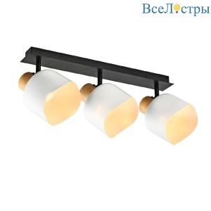 Спот IMEX SP.050-53-87