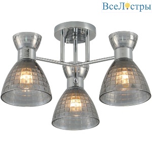 Потолочная люстра Reluce 07305-0.3-03