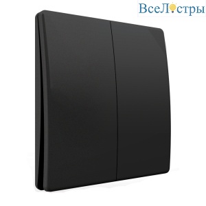 Выключатель беспроводной двухклавишный Feron TM92 51027